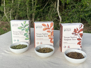Which Yaupon Tea Is Right for You?