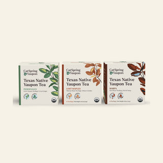 Teabags - CatSpring Yaupon