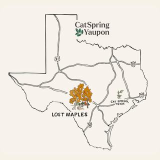 Lost Maples Medium Roast Yaupon – Bold & Complex – Loose Leaf & Teabags