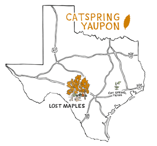 Lost Maples Medium Roast Yaupon – Loose Leaf & Teabag