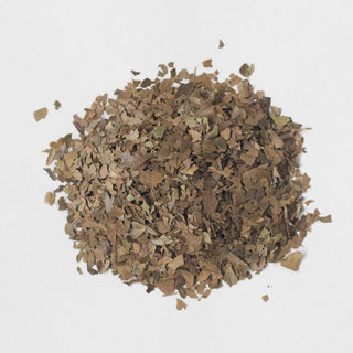 Lost Maples - Medium Roast Bulk (1 lb) - CatSpring Yaupon