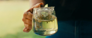 Our Standards & How CatSpring Yaupon Ensures Clean, Certified Native Tea