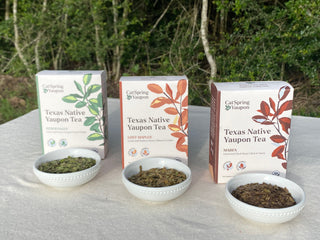 Your Guide to Yaupon Tea Roasts