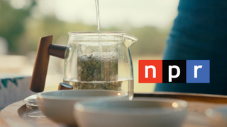 NPR and CatSpring Yaupon 