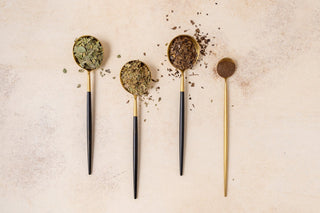 Four black and gold spoons with loose leaf yaupon on a beige background