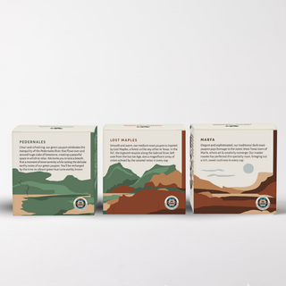 Multipack Yaupon Teabags (48 Count)