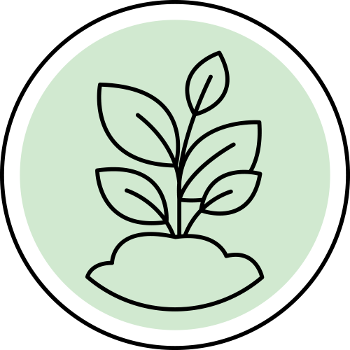 CatSpring Yaupon Organic logo