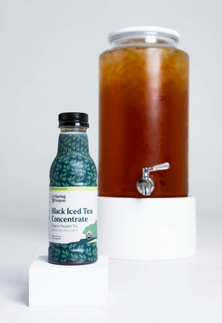 Iced Yaupon Tea Concentrate