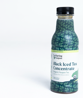 Iced Yaupon Tea Concentrate