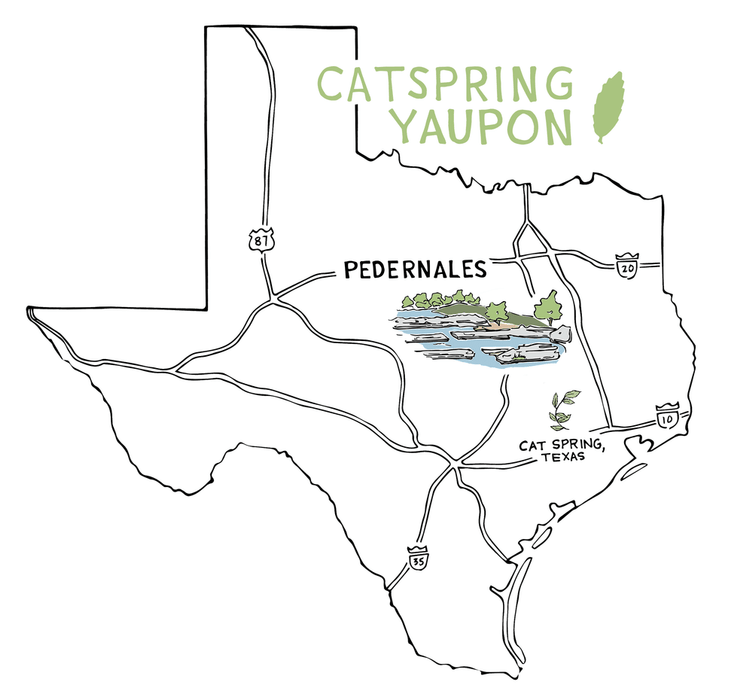 Pedernales - Green Yaupon Bulk (1 lb) - CatSpring Yaupon