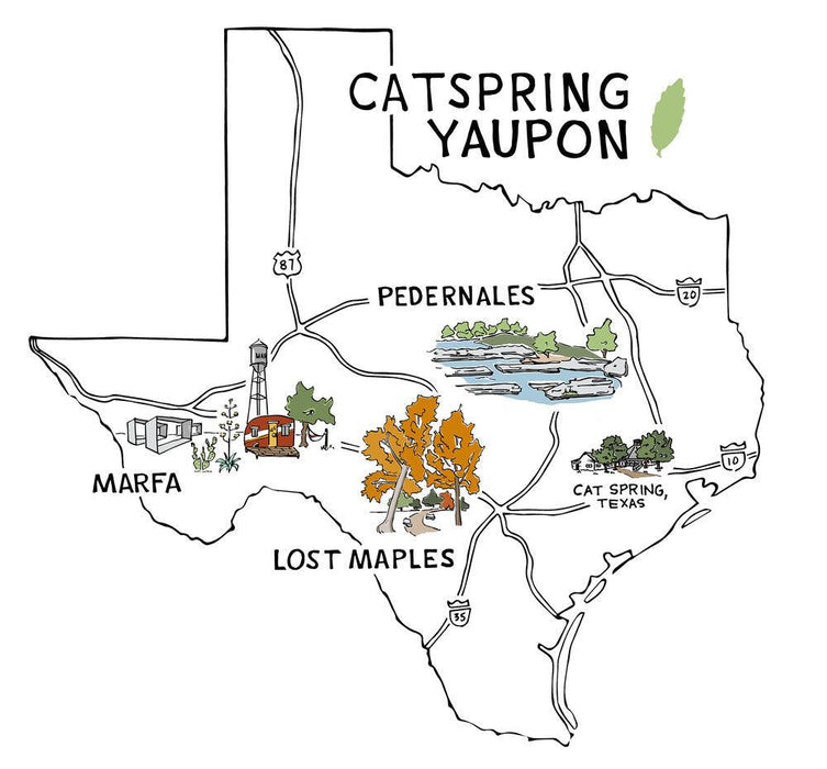 Multipack - Yaupon Teabags- shipping July 1 - CatSpring Yaupon